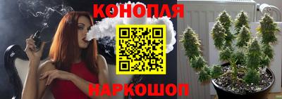 PSILOCYBIN Гусиноозёрск