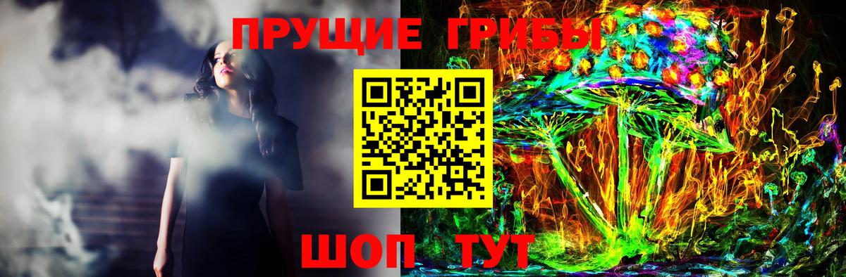 Псилоцибиновые грибы Psilocybine cubensis  Галлюциногенные грибы Psilocybine cubensis  Нальчик  Вход с VPN 